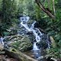 Waterfall Curcuit