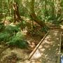 Lake Tinaroo - Danbulla National Park