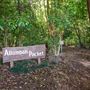 Peterson Creek Wildlife & Botanical Walking Track