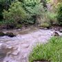Peterson Creek Wildlife & Botanical Walking Track