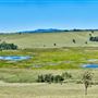 Bromfield Swamp