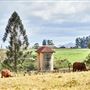 Tablelands Farming