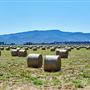 Tablelands Farming