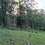 Hayes Property