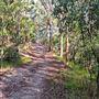 Hayes Property