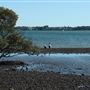 Cleveland Point