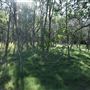 Epapah Creek - Karl's Pier track