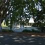 Chelmer Streetscape