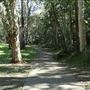 Cornubia Forest
