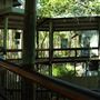 Daisy Hill Koala Centre