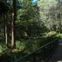 Daisy Hill Conservation Park