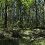 Daisy Hill Conservation Park