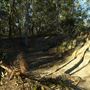 Hemmant Quarry Reserve