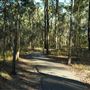 Hemmant Quarry Reserve