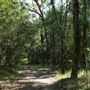Venman Bushland