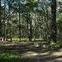 Venman Bushland