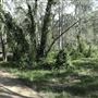 Boondall Wetlands
