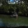 Curlew Park - Cabbage Tree Creek