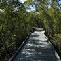 Nudgee Beach Wetlands Reserve