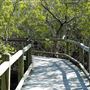 Nudgee Beach Wetlands Reserve