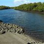 Nudgee Beach Wetlands Reserve