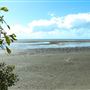 Nudgee Beach