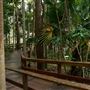 Enoggera Reservoir