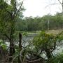 Enoggera Reservoir