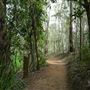 Enoggera Reservoir