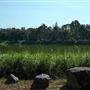 118 Green Camp Rd