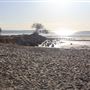 Pandanus Beach