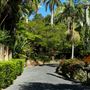 Rainforest Gardens