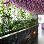 Iris Rooftop Bar & Restaurant