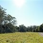 Rural Rainforest and High Fence