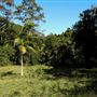 Palm Grove Property