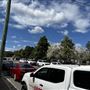 Canungra