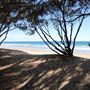 Main Beach - Phillip Park