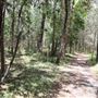 Coombabah Lakelands Conservation Area - Open Field & Forest