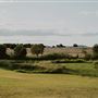 Twigley Farm