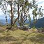 Stockyard Creek