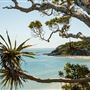 Noosa National Park