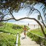 Sunshine Beach