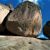 Warwick Region - Girraween National Park