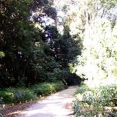 Mary Cairncross Scenic Reserve and Sanctuary