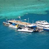 Hardy Reef (Reefworld Plantoon)