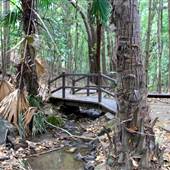 Kholo Botanic Gardens