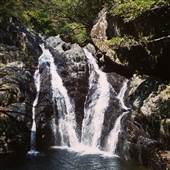 Spring Creek - near Port Douglas