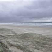 Mulgumpin (Moreton Island) - East Coast Beach