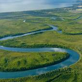Daintree River
