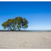 Beachmere Foreshore